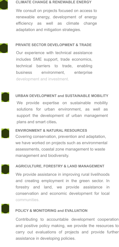 PRIVATE SECTOR DEVELOPMENT & TRADE CLIMATE CHANGE & RENEWABLE ENERGY We consult on projects focused on access to renewable energy, development of energy efficiency as well as climate change adaptation and mitigation strategies. Our experience with technical assistance includes SME support, trade economics, technical barriers to trade, enabling business environment, enterprise development and investment.  URBAN DEVELOPMENT and SUSTAINABLE MOBILITY POLICY & MONITORING and EVALUATION AGRICULTURE, FORESTRY & LAND MANAGEMENT ENVIRONMENT & NATURAL RESOURCES We provide expertise on sustainable mobility solutions for urban environment, as well as support the development of urban management plans and smart cities. Covering conservation, prevention and adaptation,  we have worked on projects such as environmental assessments, coastal zone management to waste management and biodiversity. We provide assistance in improving rural livelihoods and creating employment in the green sector. In forestry and land, we provide assistance in conservation and economic development for local communities. Contributing to accountable development cooperation and positive policy making, we provide the resources to carry out evaluations of projects and provide further assistance in developing policies.